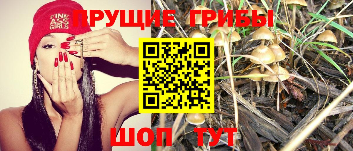 Галлюциногенные грибы ЛСД Валуйки