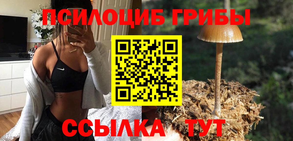 Валуйки  Галлюциногенные грибы GOLDEN TEACHER  Галлюциногенные грибы Psilocybe  Вход с VPN 